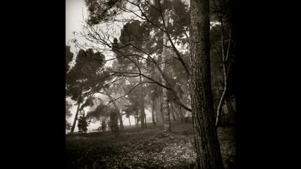 Village Of Dead Roads - Between Grace & Delusion 