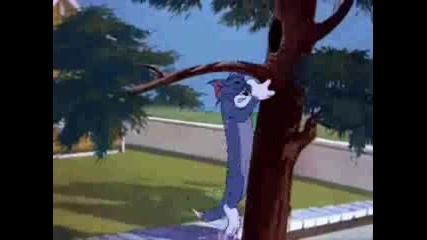 Tom & Jerry - That`s My Pup!