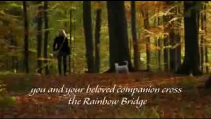 The Rainbow Bridge