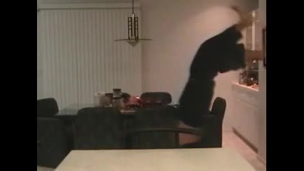 How to be Ninja