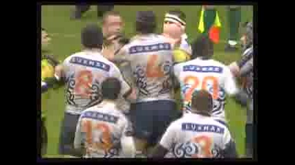 French Rugby Hysteria