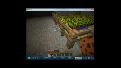 Minecraft невероятно нещо много овце.