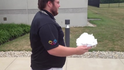 Pie in the face