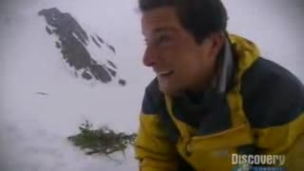 Bear Grylls
