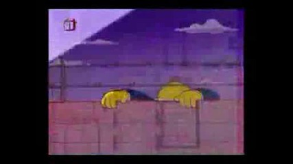 Prison break & Simpsons