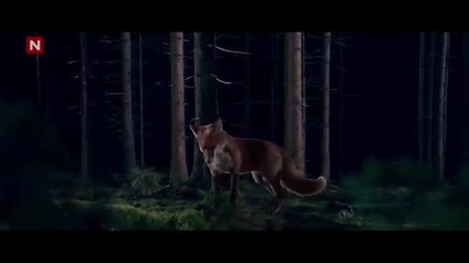 Ylvis - The Fox (what Does The Fox Say)