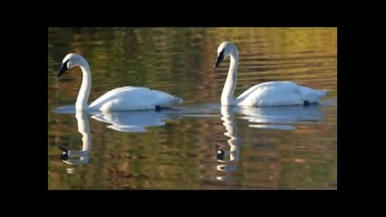 Giovanni Marradi - Together Again