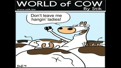 Funny Cows