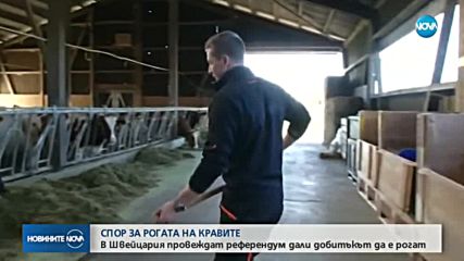 Новините на NOVA (24.11.2018 - обедна емисия)