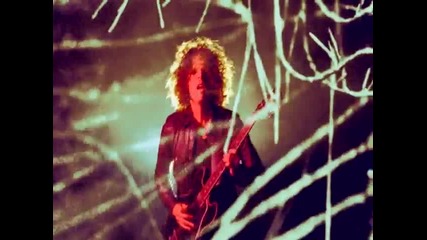 Wolfmother - New Moon Rising (official Video) 