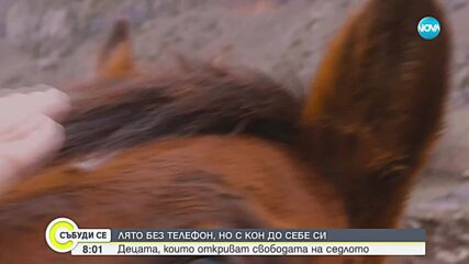 Лято без телефон, но с кон до себе си: Децата, които откриват свободата на седлото