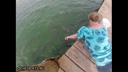 Жена храни гладни риби , но не очакваше това !