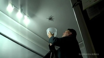 Голям паяк атакува баща , докато се опитва да го залови - Смях