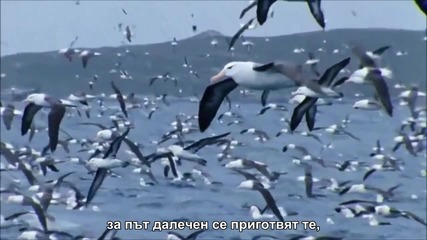 За птиците - Архидякон Роман Тамберг и иерей Алексей