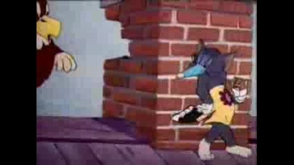 Tom And Jerry - Flirty Birdy