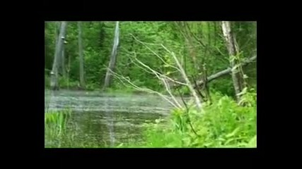 Вълчи сезон / Волчий сезон (2008) [част 5]