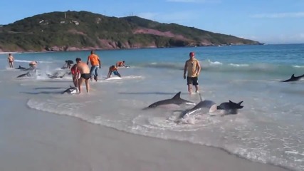 Те просто снимаха морето и плажа, това което се случи е немислимо! Video