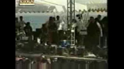 Active Member - Rockwave Festival - Gia T Aderfia