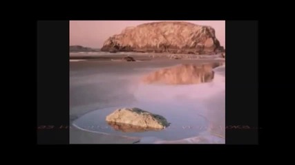 Seline Dion - От обич и любов