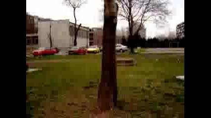 Freerun