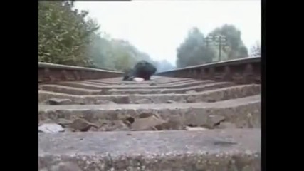 По - луди от руснаците няма !