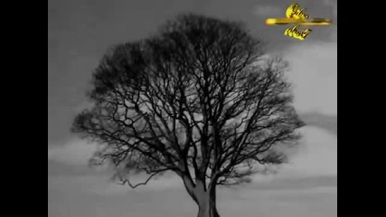 Metallica - The Unforgiven (instrumental)