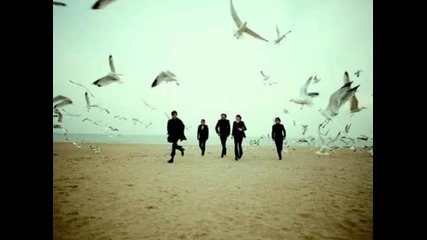 The Morning after Girls - Lazy Greys