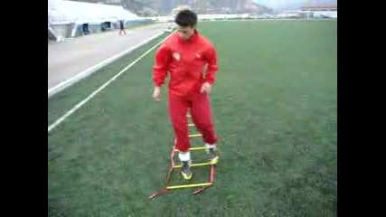 speed ladder with ball