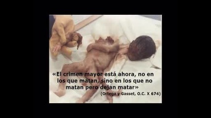Eskroto + inconciencia no al aborto