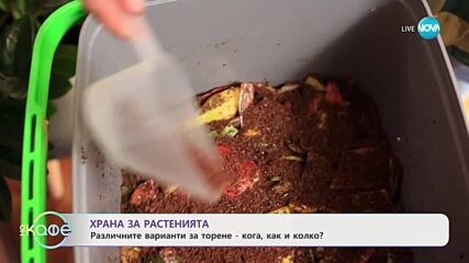 Градина в апартамент: Как да превърнем балкона си в малък оазис - „На кафе“ (15.05.2025)