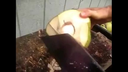 Как се отваря кокосов орех