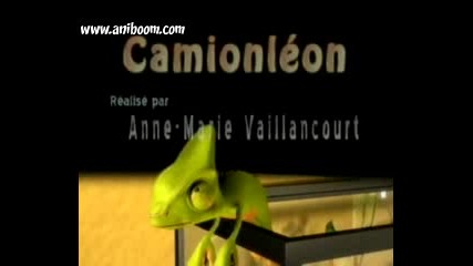 The Lizard And The Fly - Funny Animation