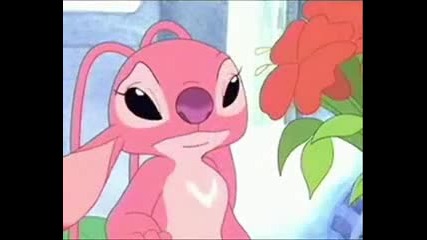 stitch s miracle 