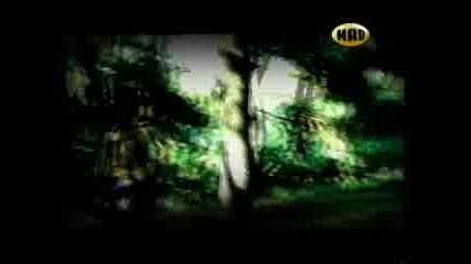 Notis Sfakianakis - Kali Sou Tuxi