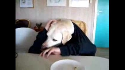 Dinner Time With The Dog - Man 