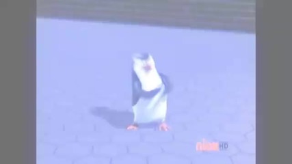 The Penguins of Madagascar -- Just Dance