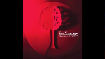 The Subways - Lines Of Light (official Upload)