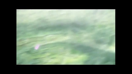 Kobato Amv - Ashita Kuru Hi