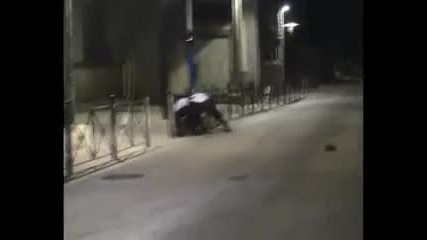 Лудото кенгуро