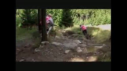 Freeride/downhill 