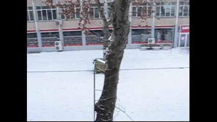 Christmas Video