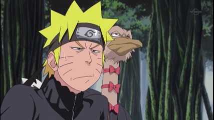 Naruto Shippuuden 254 [eng Sub][high Quality]