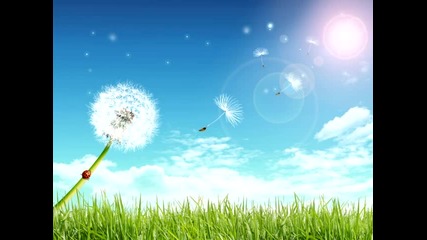 mehdi - moments in bliss
