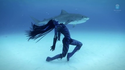 Удивително! Жена танцува с тигрови акули
