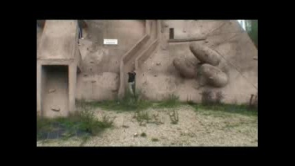 Around the world - Skynative