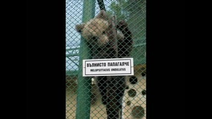 Това може да се види само в България.flv