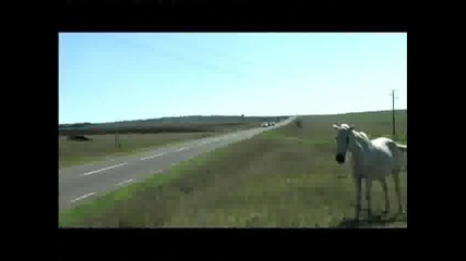 test vw polo