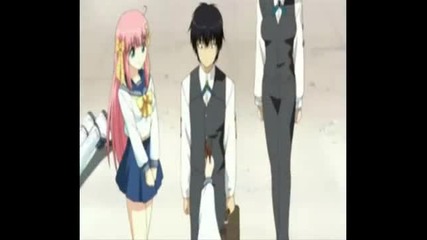 They Are My Noble Masters The Hamster Dance [funny Amv]