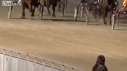 Младежи се сгряха със секс по време на конни надбягвания