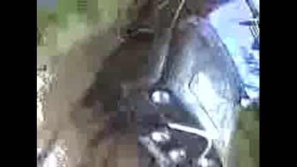 Видео016.3gp